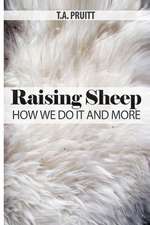 Raising Sheep - How We Do It and More