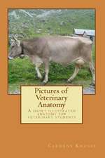 Pictures of Veterinary Anatomy