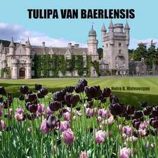 Tulipa Van Baerlensis