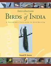 Birds of India