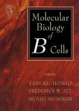 Molecular Biology of B Cells