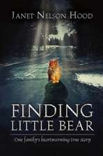 Finding Little Bear: Volume 1