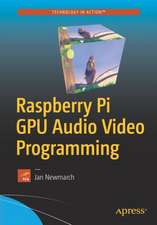 Raspberry Pi GPU Audio Video Programming 