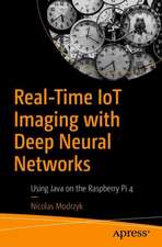 Real-Time IoT Imaging with Deep Neural Networks: Using Java on the Raspberry Pi 4