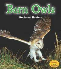 Barn Owls: Nocturnal Hunters