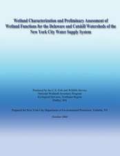 Wetland Characterization and Preliminary Assessment of Wetland Functions for the Delaware and Catskill Watersheds of the New York City Water Supply Sy