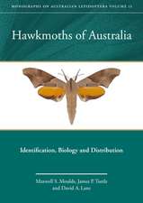 Hawkmoths of Australia