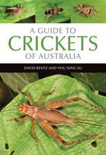 A Guide to Crickets of Australia