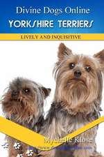 Yorkshire Terriers