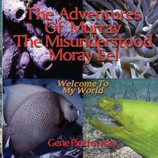 The Adventures of Murray the Misunderstood Moray Eel