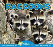 Raccoons