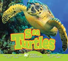 Sea Turtles