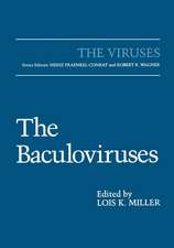 The Baculoviruses