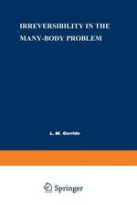 Irreversibility in the Many-Body Problem