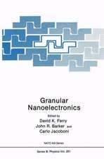 Granular Nanoelectronics