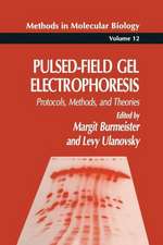 Pulsed-Field Gel Electrophoresis: Protocols, Methods, and Theories