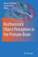 Multisensory Object Perception in the Primate Brain