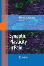 Synaptic Plasticity in Pain