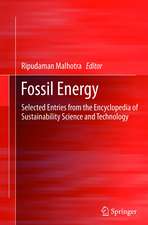 Fossil Energy