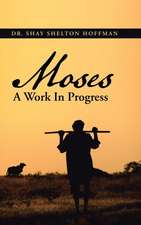 MOSES A Work In Progress