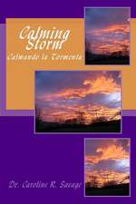 Calming Storm // Calmando La Tormenta