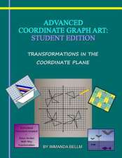 Advanced Coordinate Graph Art