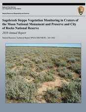 Sagebrush Steppe Vegetation Monitoring in Craters of the Moon National Monument and Preserve and City of Rocks National Reserve 2010 Annual Report