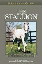 Understanding the Stallion