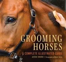 Grooming Horses