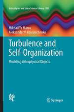 Turbulence and Self-Organization: Modeling Astrophysical Objects