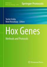 Hox Genes