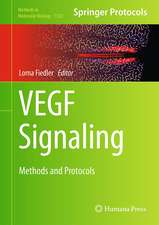 VEGF Signaling