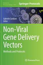 Non-Viral Gene Delivery Vectors