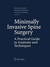 Minimally Invasive Spine Surgery: A Practical Guide to Anatomy and Techniques