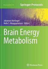 Brain Energy Metabolism