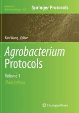 Agrobacterium Protocols: Volume 1