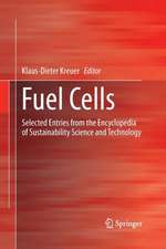 Fuel Cells: Selected Entries from the Encyclopedia of Sustainability Science and Technology