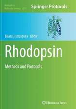 Rhodopsin