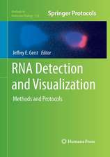 RNA Detection and Visualization: Methods and Protocols