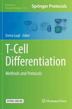 T-Cell Differentiation