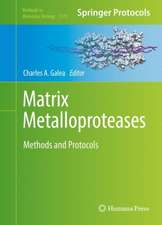 Matrix Metalloproteases: Methods and Protocols