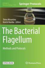 The Bacterial Flagellum