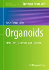 Organoids: Stem Cells, Structure, and Function