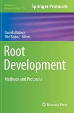 Root Development