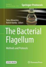 The Bacterial Flagellum: Methods and Protocols