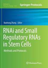 RNAi and Small Regulatory RNAs in Stem Cells: Methods and Protocols