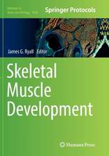 Skeletal Muscle Development