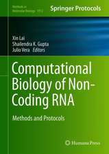 Computational Biology of Non-Coding RNA