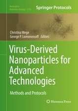 Virus-Derived Nanoparticles for Advanced Technologies