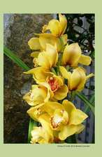 Yellow Orchids 2014 Weekly Calendar